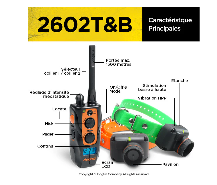 Dogtra 2602 T&B