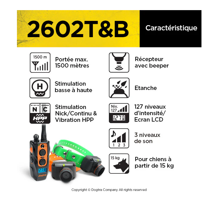 Dogtra 2602 T&B