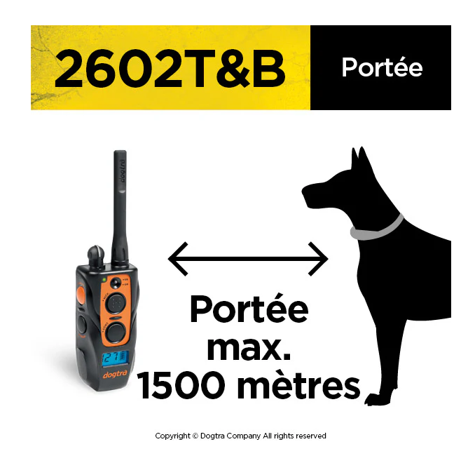 Dogtra 2602 T&B
