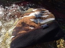 Bonnet impermeable rainshell camouflage marron