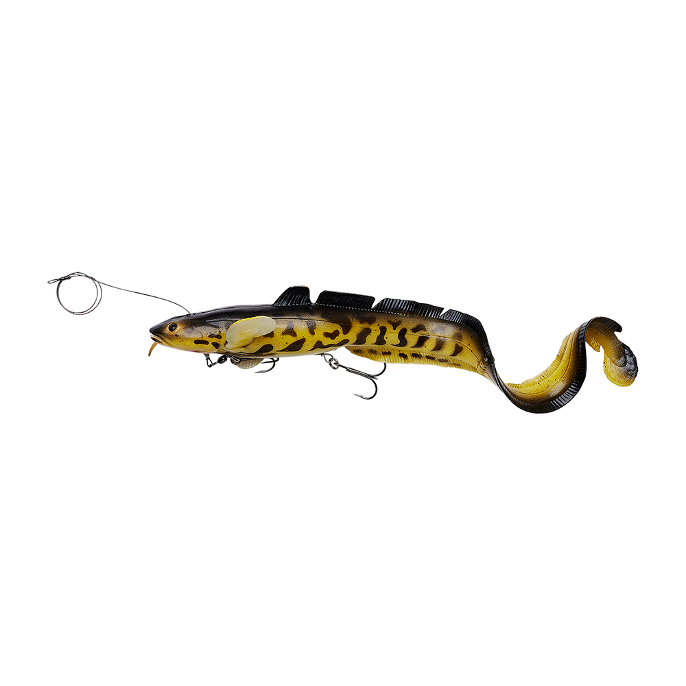 3D line thru burbot 360