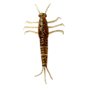 3D pvc mayfly 50