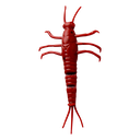 3D pvc mayfly 50