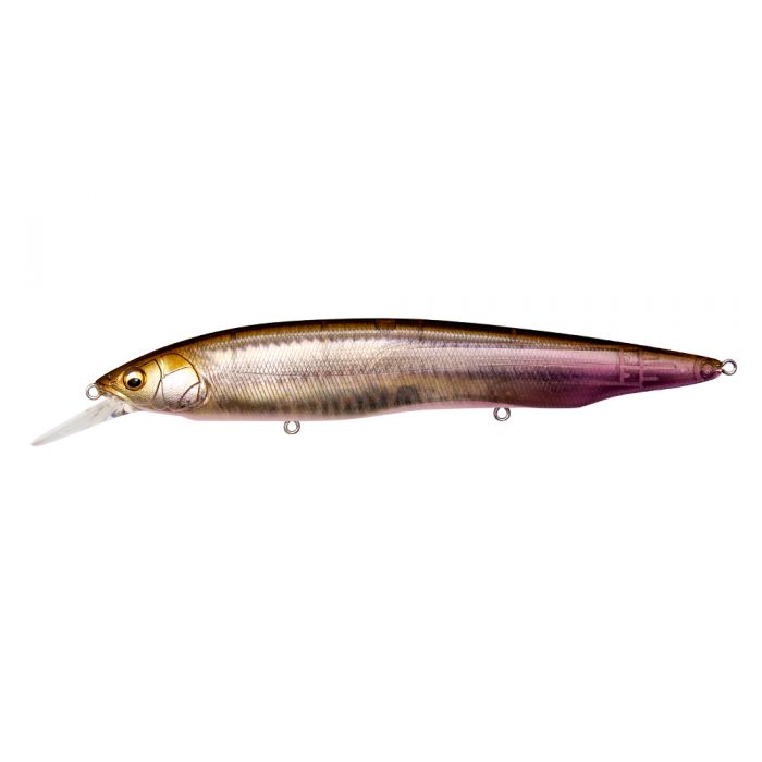 Megabass Kanata +1
