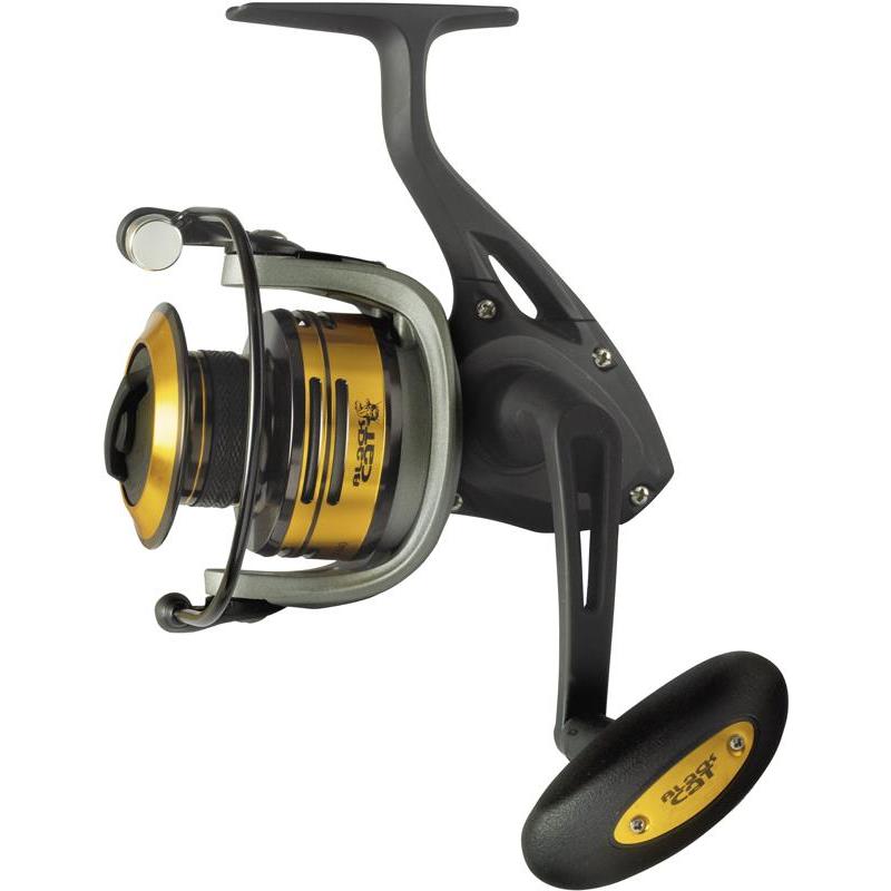 Black cat Passion pro FD