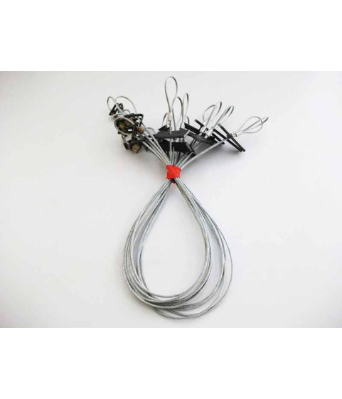 Lot de 5 lacets belisle