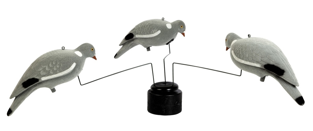 Manege a pigeon