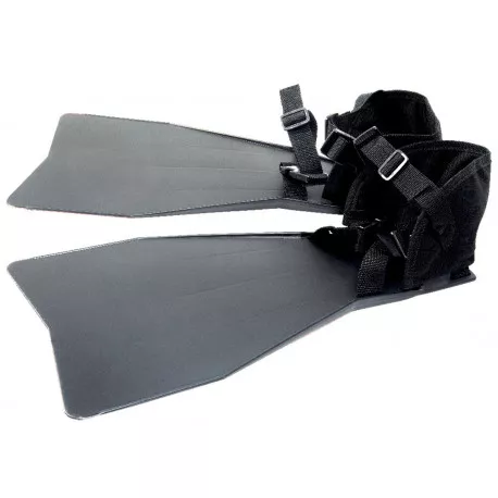 Seven Bass Palmes one