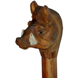 Baton de marche 110