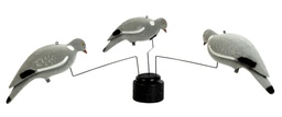 [4026901] Manege a pigeon