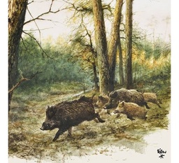 Serviette Papier x20