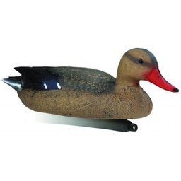 Colvert femelle