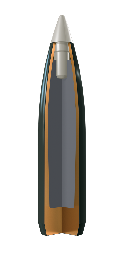 270 Win ballistic silvertip