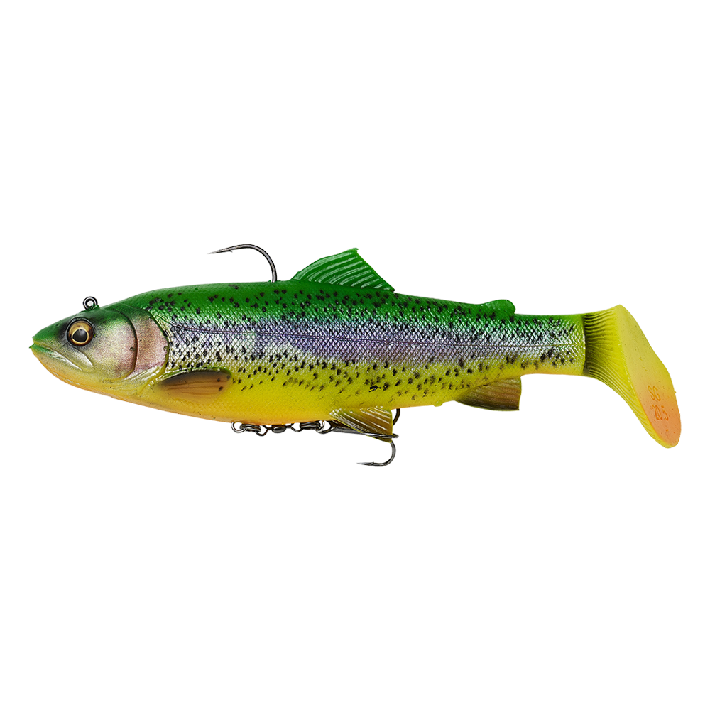 4D Trout Rattle shad 170