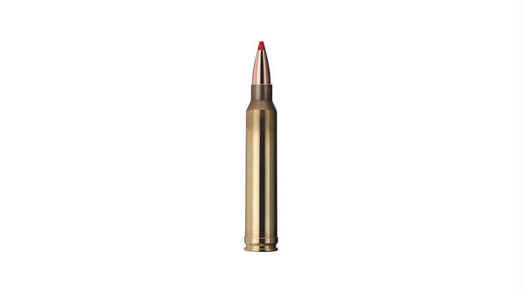 Geco 300 Win Mag  express 10.7gr