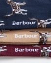 Barbour Chausettes Pointer dog giftbox cordovan
