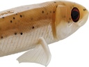 Westin Twinteez pelagic V-tail 200