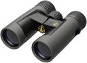 Leupold BX-2 alpine HD shadow grey 10X42