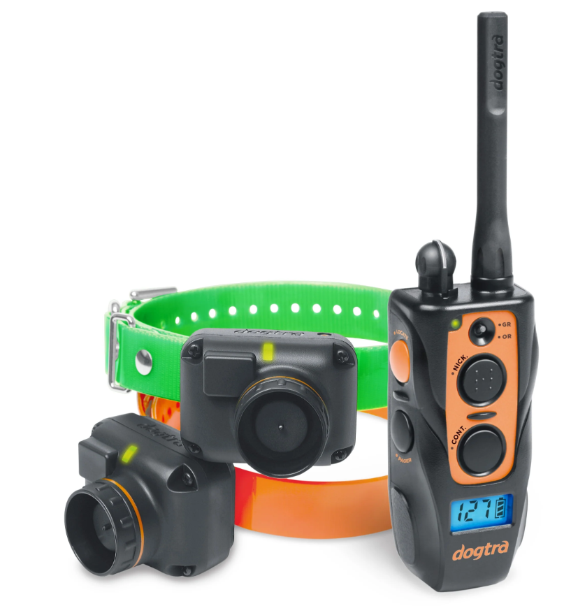 Dogtra 2602 T&B