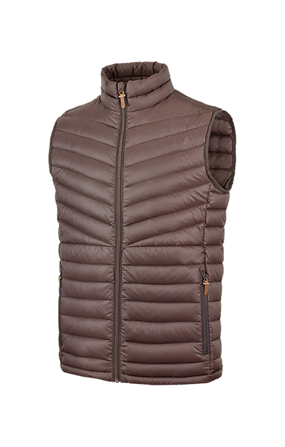 Stagunt Teva 2 bronze