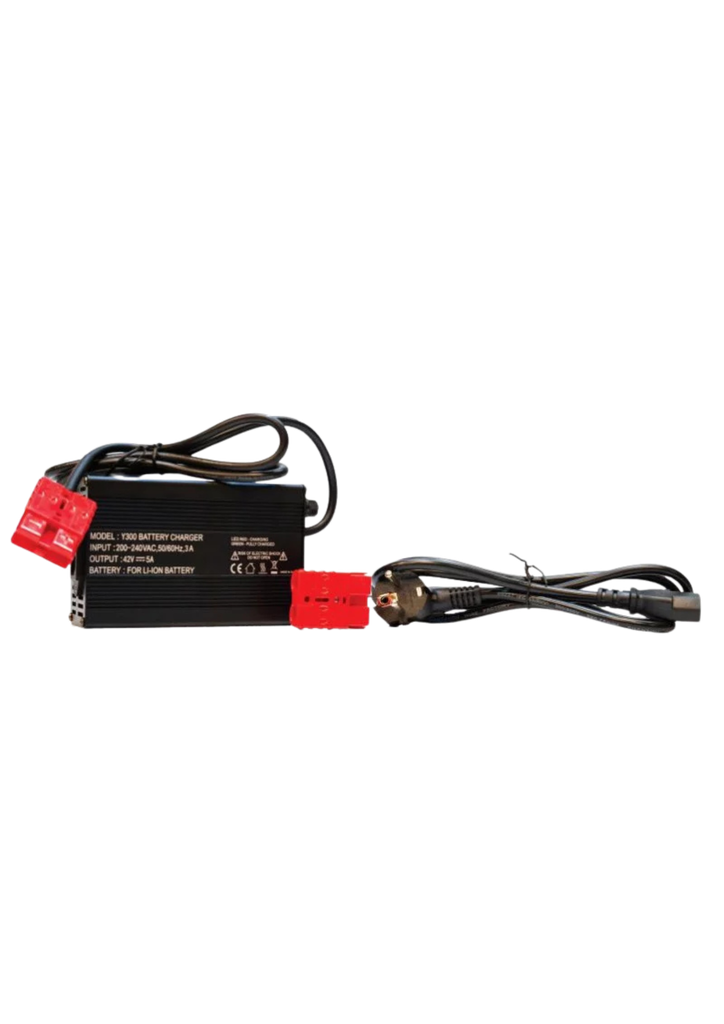 Chargeur 12,6V 10AH