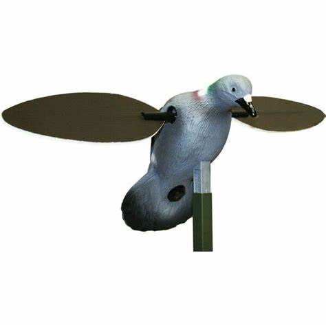 Mojo Pigeon