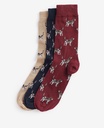 Barbour Chausettes Pointer dog giftbox cordovan