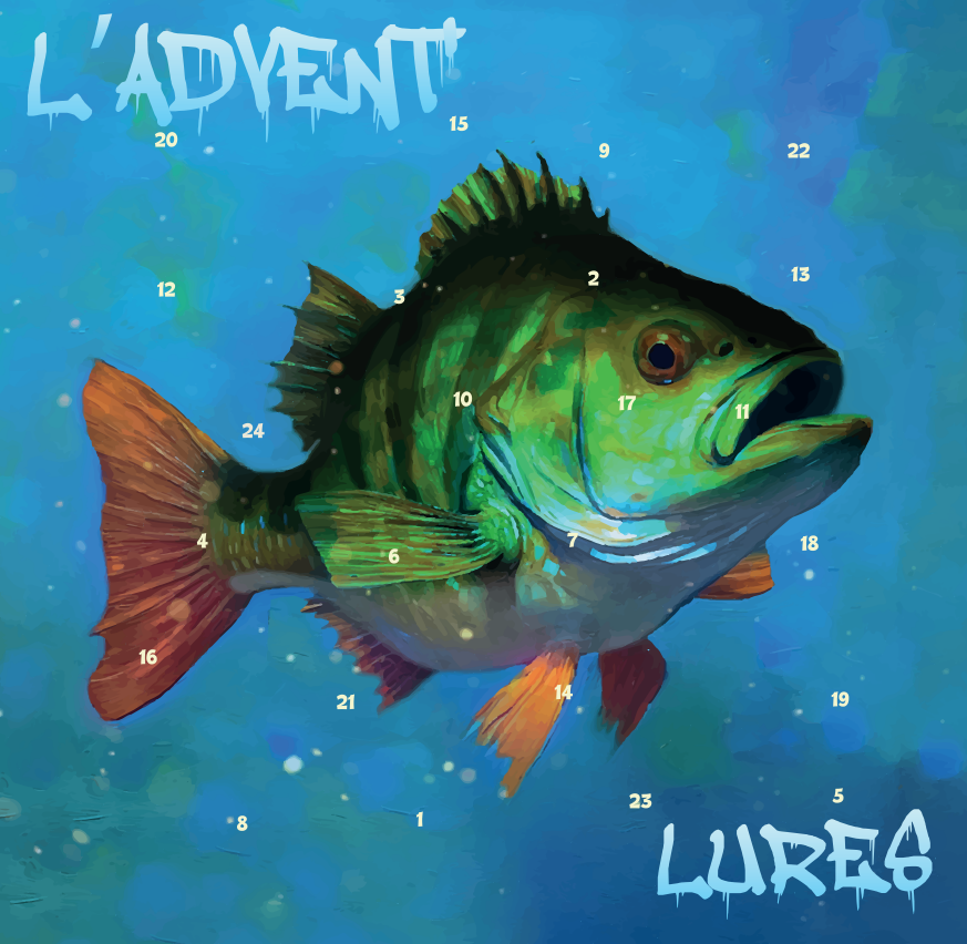Calendrier de l'avent 2023 carnassier lures