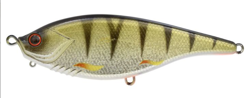 [11818135/PE] Xorus Asturie 150 (copie) (perch)