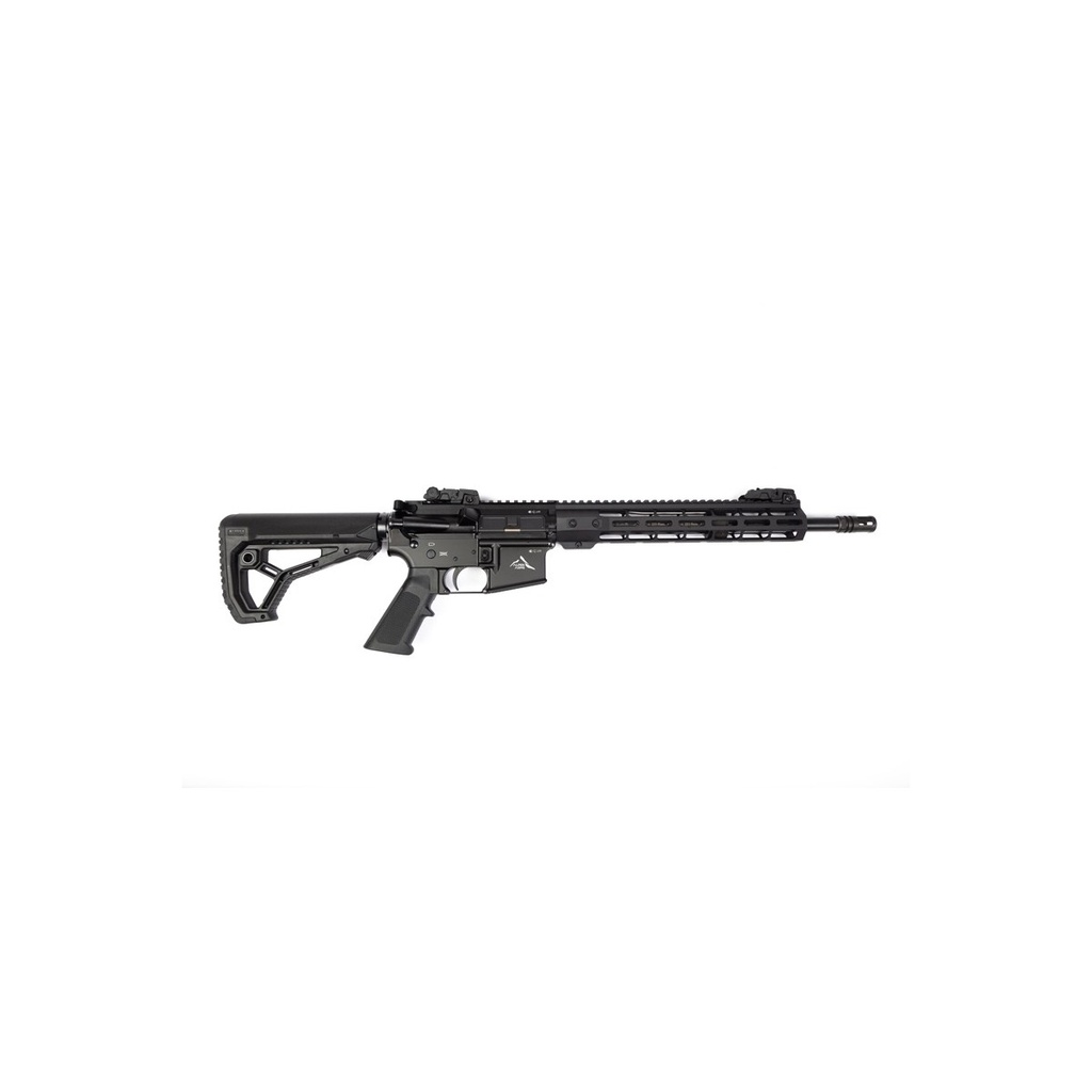 Walther PPQ M2 tactical 4.6'' (copie)