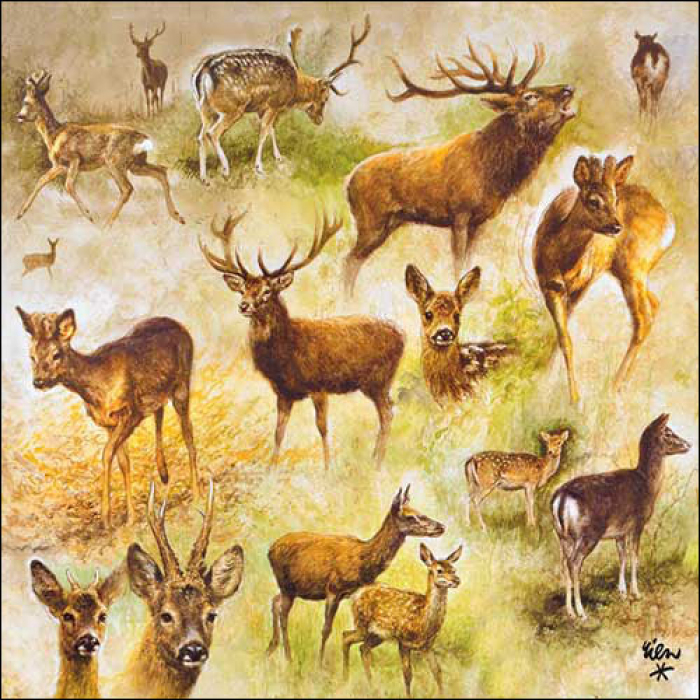 [22777192] Serviette Papier renard assis x20 (copie)