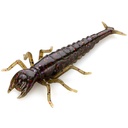 Fish up Diving bug 2'