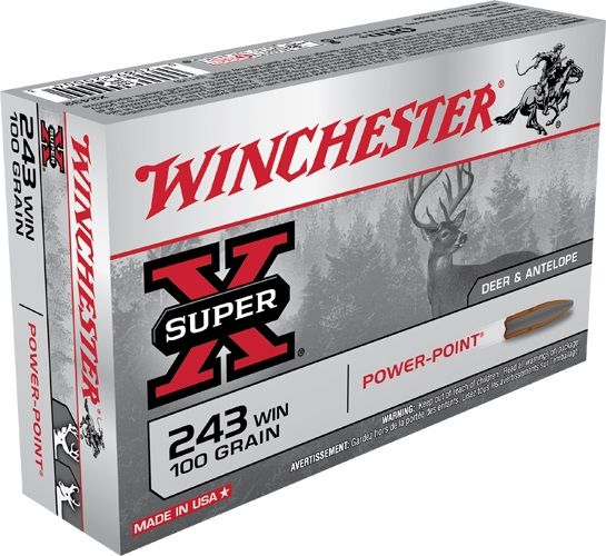 Winchester 243Win power point 100gr