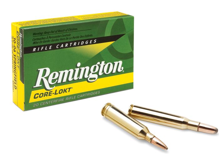 Remington 300wm core lokt PSP