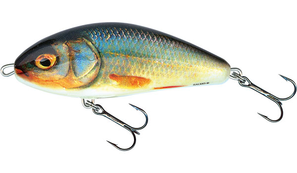 [6431850/RR] Salmo Fatso sinking 10 (real roach)
