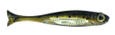 Fish Arrow Flash j huddle