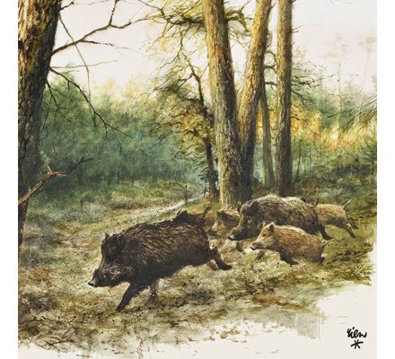 Serviette Papier x20