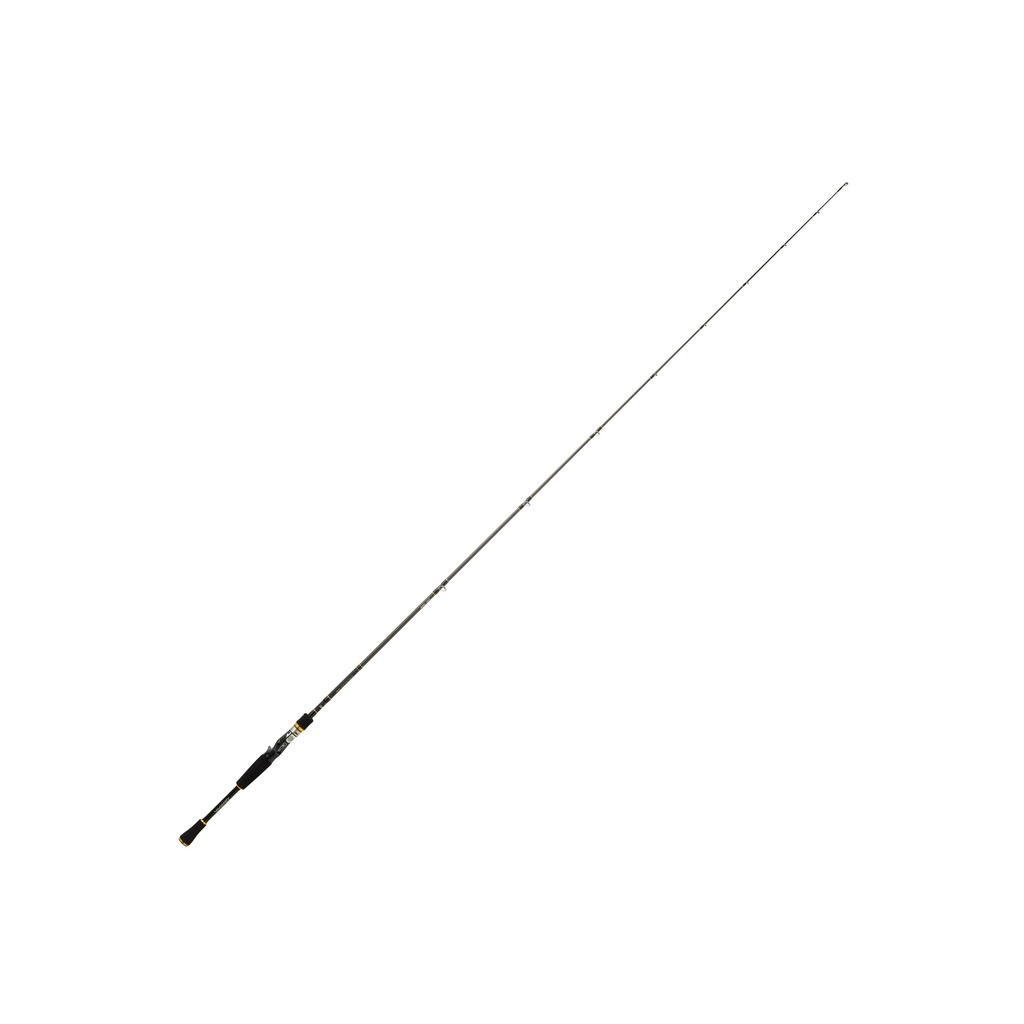 Daiwa Exceler casting 198 MH