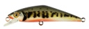 Smith Contact 85