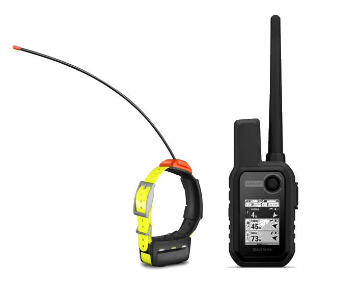 Garmin Alpha 10 F + collier T5