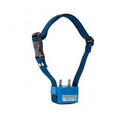 [1557503] Num'Axes Canicalm