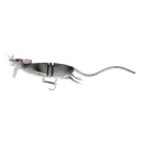 Savage Gear 3D Rad 200