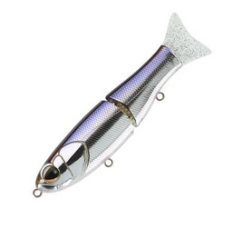 Sakura S-shiner 170