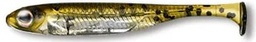 Fish Arrow Flash J shad 1''